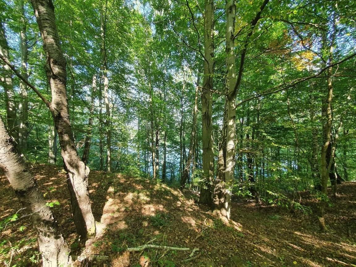 Hytte Narie 2 Güldenboden Extérieur photo